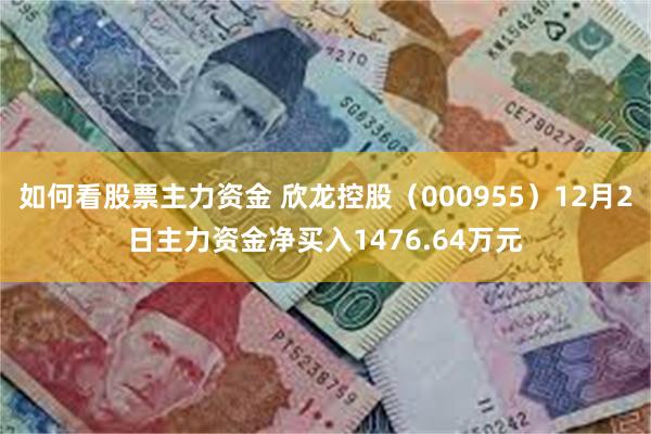 如何看股票主力资金 欣龙控股（000955）12月2日主力资金净买入1476.64万元