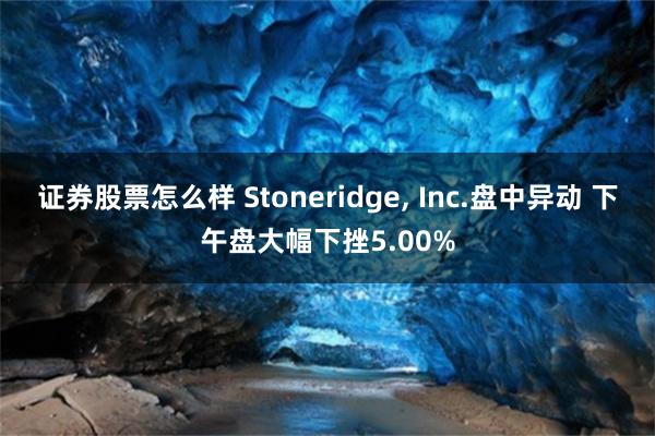 证券股票怎么样 Stoneridge, Inc.盘中异动 下午盘大幅下挫5.00%