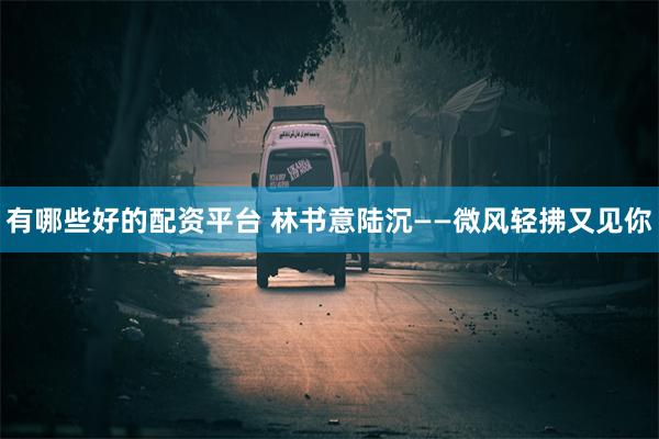有哪些好的配资平台 林书意陆沉——微风轻拂又见你