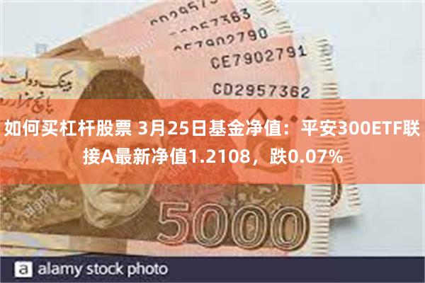 如何买杠杆股票 3月25日基金净值：平安300ETF联接A最新净值1.2108，跌0.07%