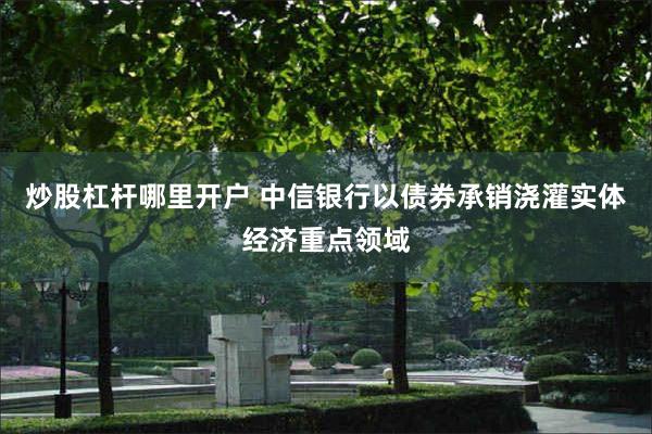 炒股杠杆哪里开户 中信银行以债券承销浇灌实体经济重点领域