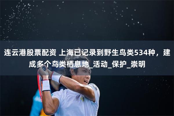 连云港股票配资 上海已记录到野生鸟类534种，建成多个鸟类栖息地_活动_保护_崇明