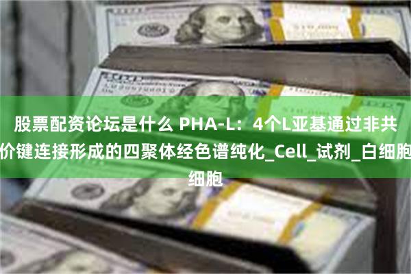 股票配资论坛是什么 PHA-L：4个L亚基通过非共价键连接形成的四聚体经色谱纯化_Cell_试剂_白细胞