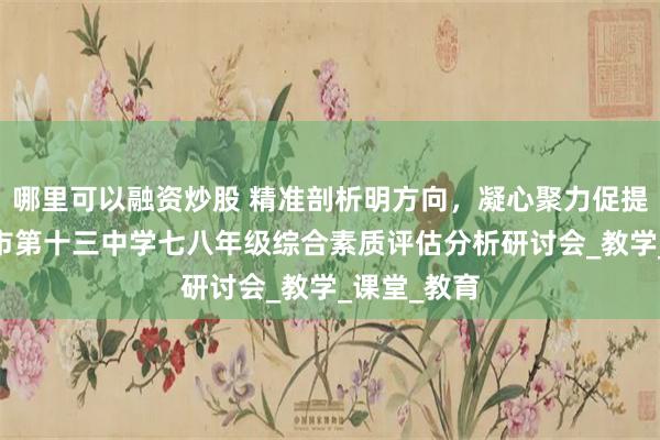 哪里可以融资炒股 精准剖析明方向，凝心聚力促提升——忻州市第十三中学七八年级综合素质评估分析研讨会_教学_课堂_教育
