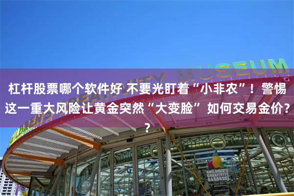 杠杆股票哪个软件好 不要光盯着“小非农”！警惕这一重大风险让黄金突然“大变脸” 如何交易金价？