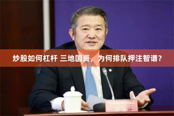 炒股如何杠杆 三地国资，为何排队押注智谱？