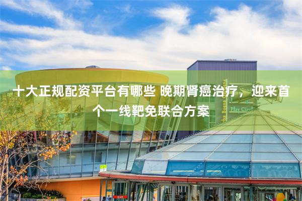 十大正规配资平台有哪些 晚期肾癌治疗，迎来首个一线靶免联合方案