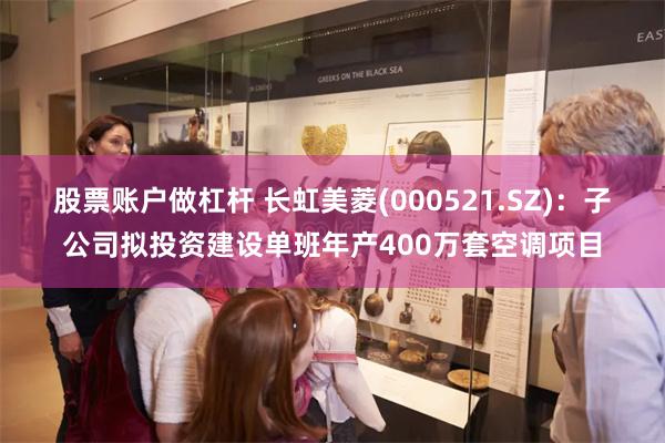股票账户做杠杆 长虹美菱(000521.SZ)：子公司拟投资建设单班年产400万套空调项目
