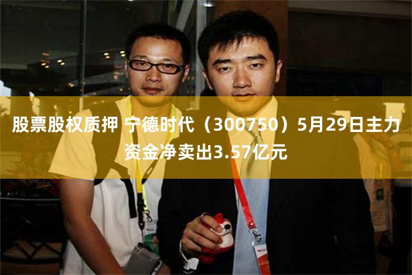 股票股权质押 宁德时代（300750）5月29日主力资金净卖出3.57亿元