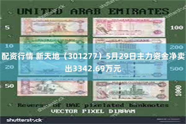 配资行情 新天地（301277）5月29日主力资金净卖出3342.69万元
