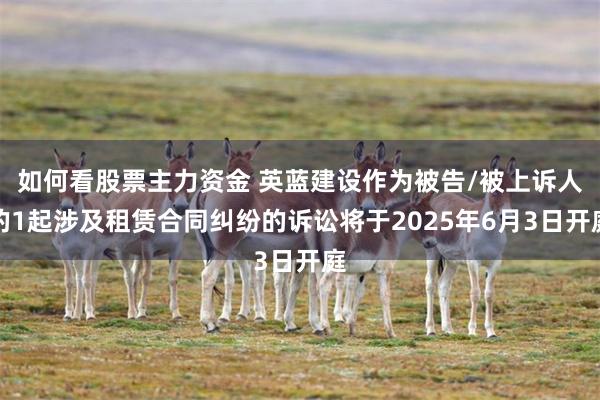 如何看股票主力资金 英蓝建设作为被告/被上诉人的1起涉及租赁合同纠纷的诉讼将于2025年6月3日开庭