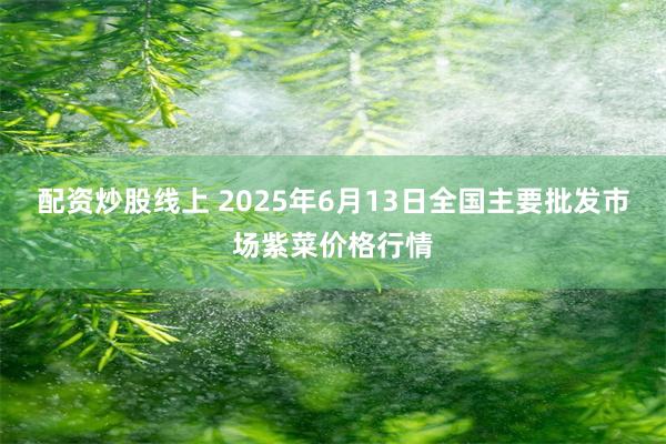 配资炒股线上 2025年6月13日全国主要批发市场紫菜价格行情