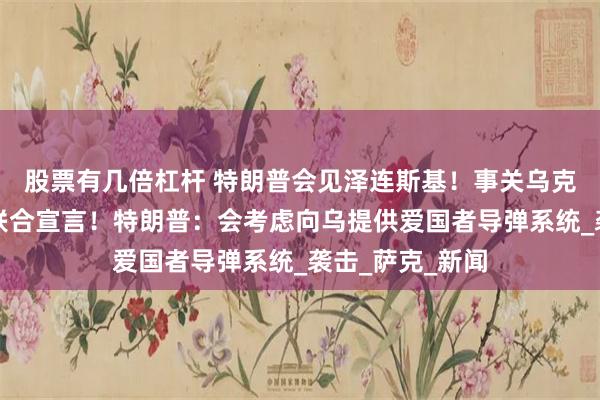股票有几倍杠杆 特朗普会见泽连斯基！事关乌克兰，北约发表联合宣言！特朗普：会考虑向乌提供爱国者导弹系统_袭击_萨克_新闻