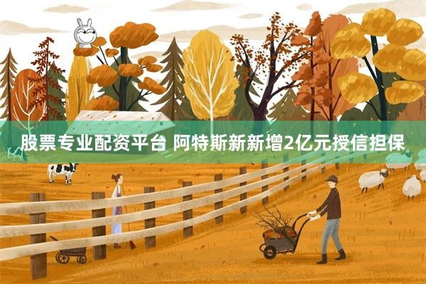 股票专业配资平台 阿特斯新新增2亿元授信担保