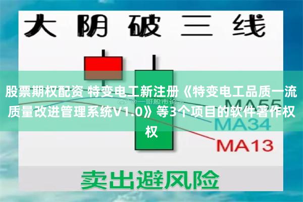 股票期权配资 特变电工新注册《特变电工品质一流质量改进管理系统V1.0》等3个项目的软件著作权