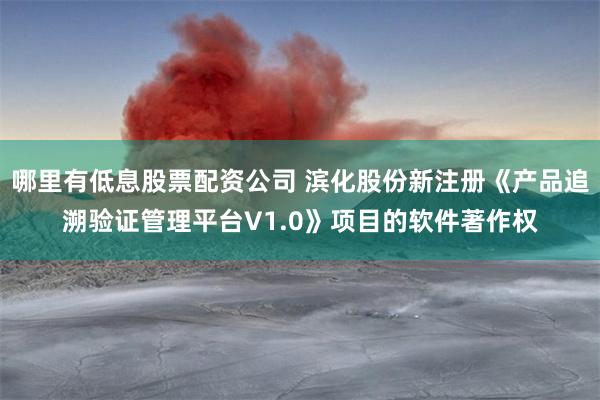 哪里有低息股票配资公司 滨化股份新注册《产品追溯验证管理平台V1.0》项目的软件著作权