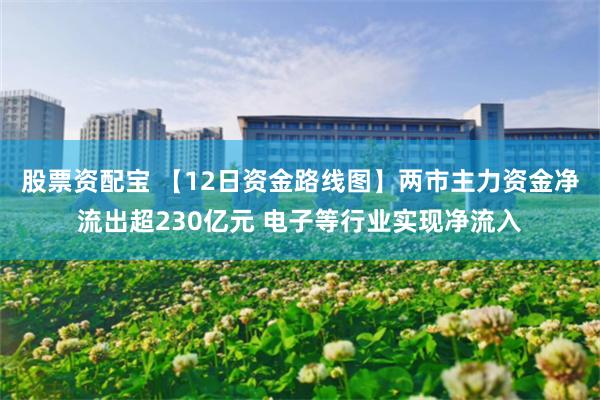 股票资配宝 【12日资金路线图】两市主力资金净流出超230亿元 电子等行业实现净流入