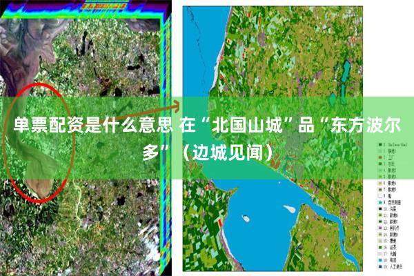 单票配资是什么意思 在“北国山城”品“东方波尔多”（边城见闻）